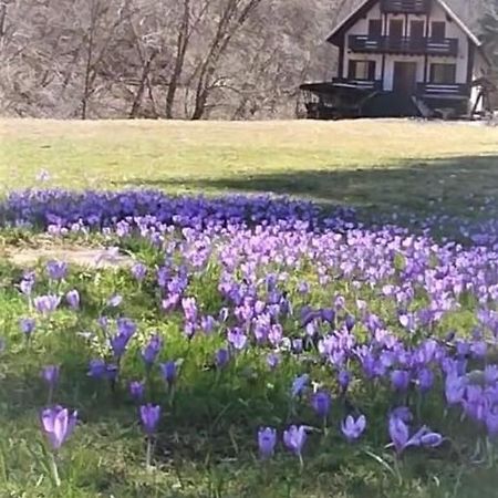 Casa De Vacanta Satic Piatra Craiului La Doi Viermi Luaran gambar