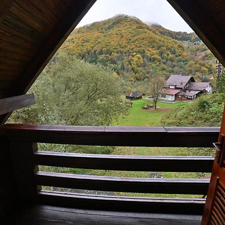Casa De Vacanta Satic Piatra Craiului La Doi Viermi Luaran gambar