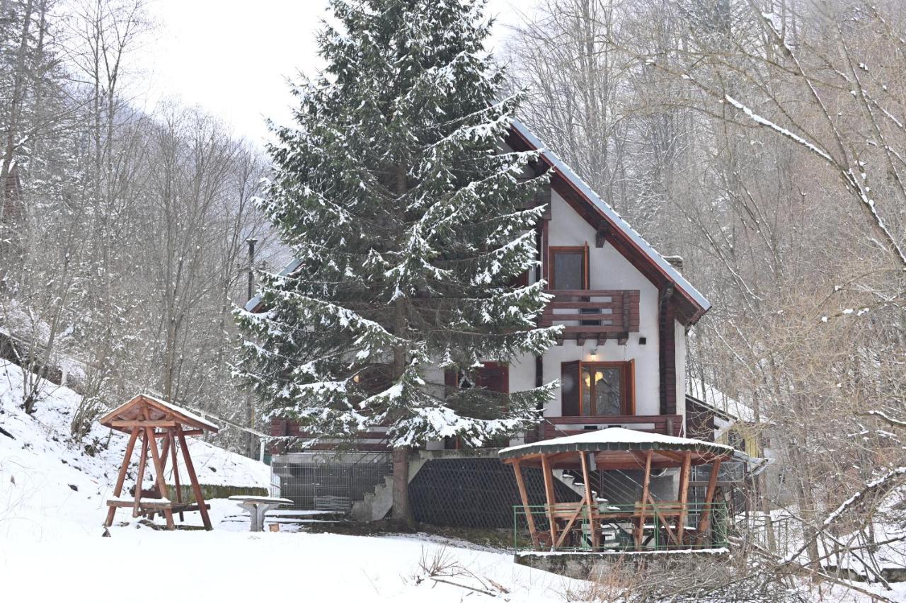 Casa De Vacanta Satic Piatra Craiului La Doi Viermi Luaran gambar