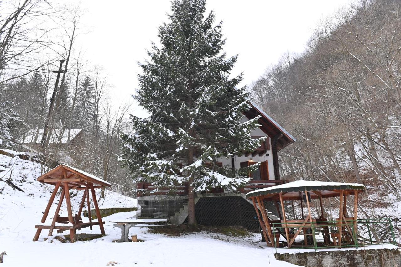 Casa De Vacanta Satic Piatra Craiului La Doi Viermi Luaran gambar