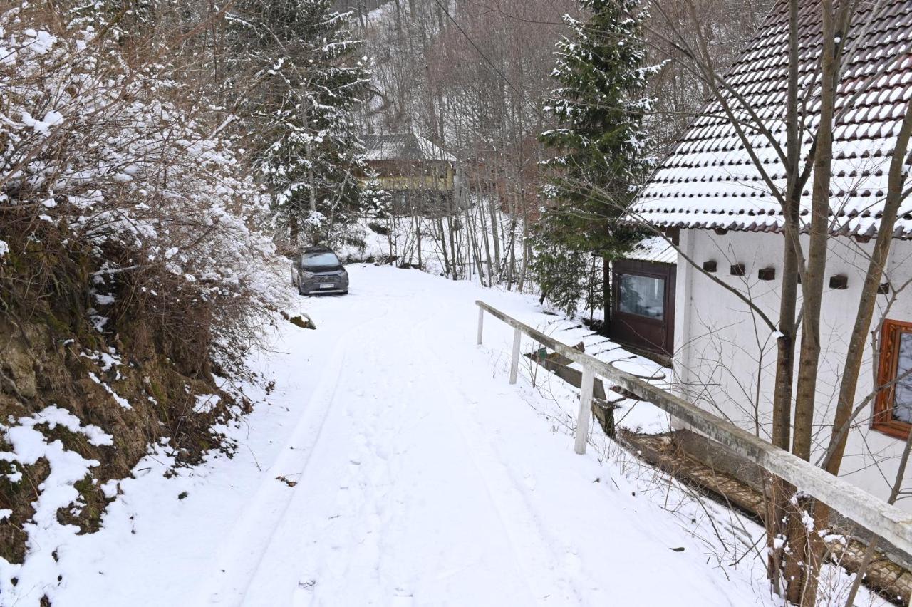 Casa De Vacanta Satic Piatra Craiului La Doi Viermi Luaran gambar