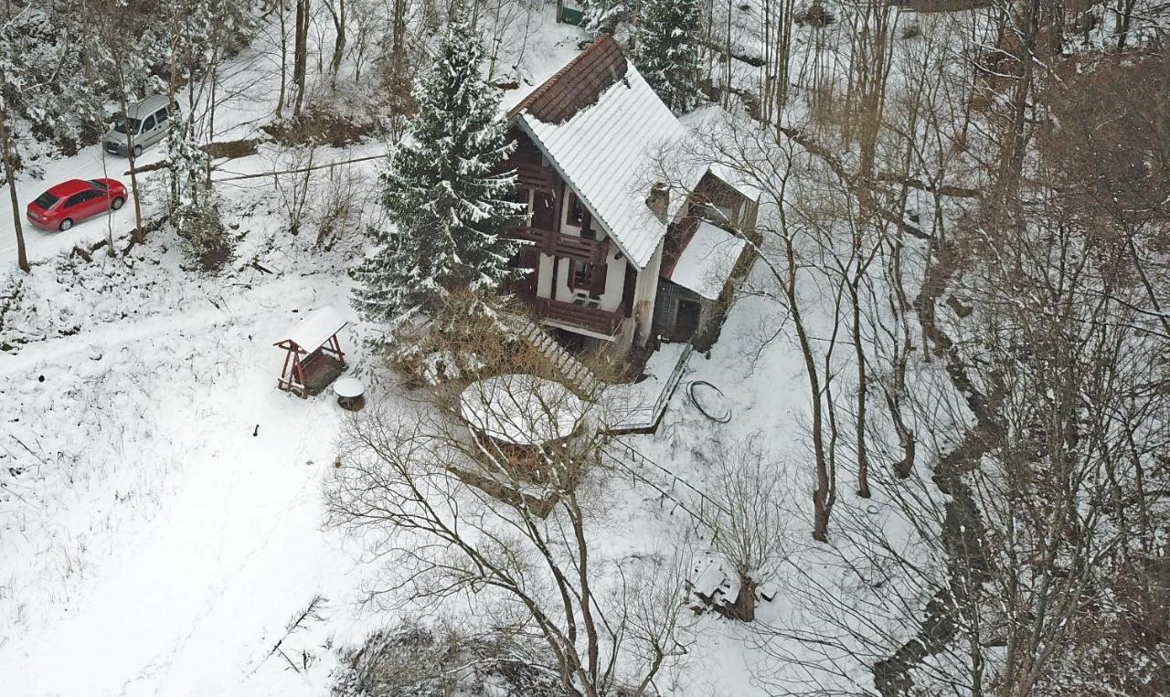 Casa De Vacanta Satic Piatra Craiului La Doi Viermi Luaran gambar