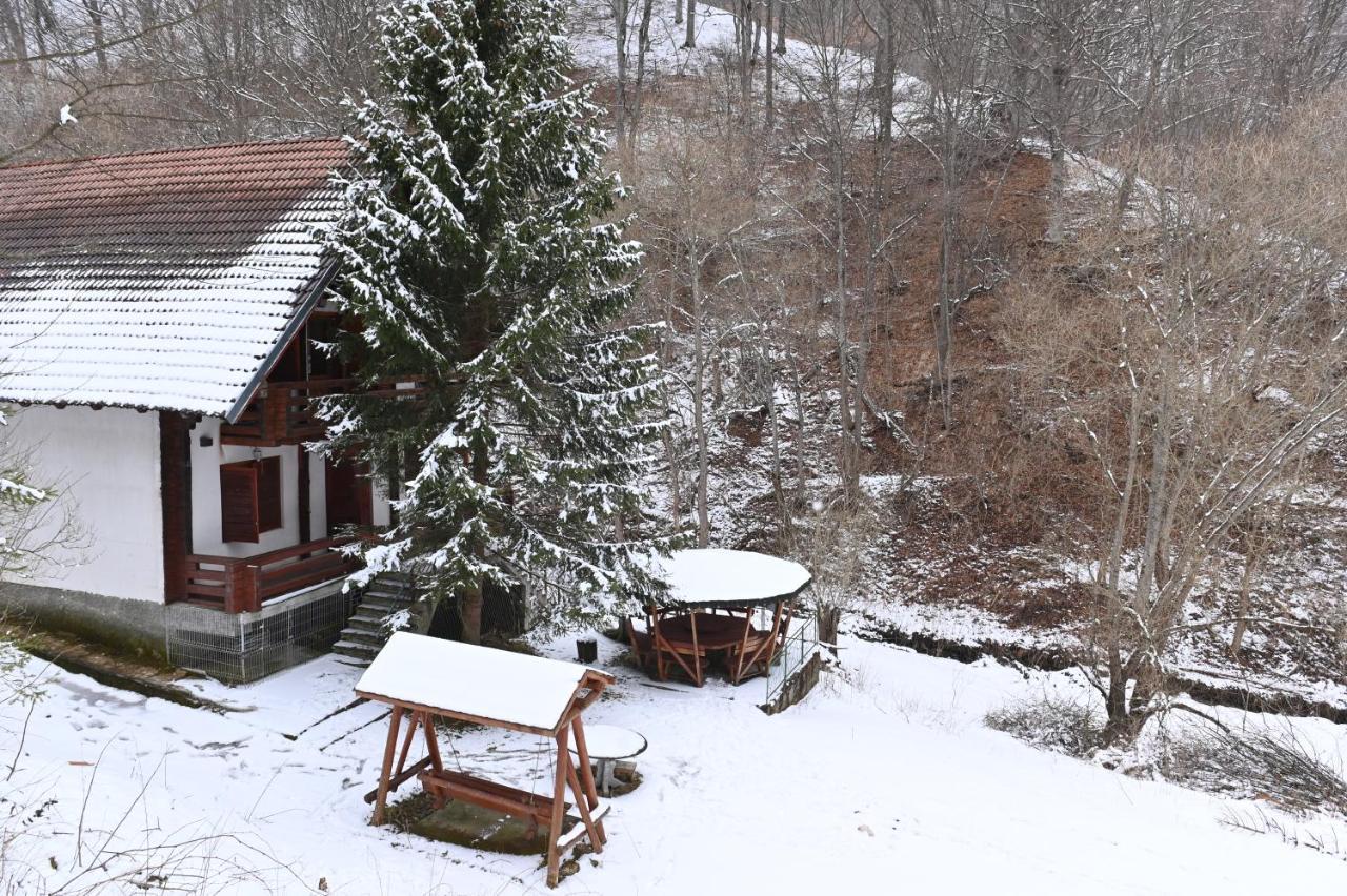Casa De Vacanta Satic Piatra Craiului La Doi Viermi Luaran gambar
