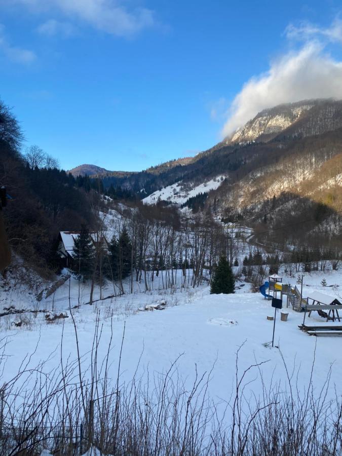 Casa De Vacanta Satic Piatra Craiului La Doi Viermi Luaran gambar