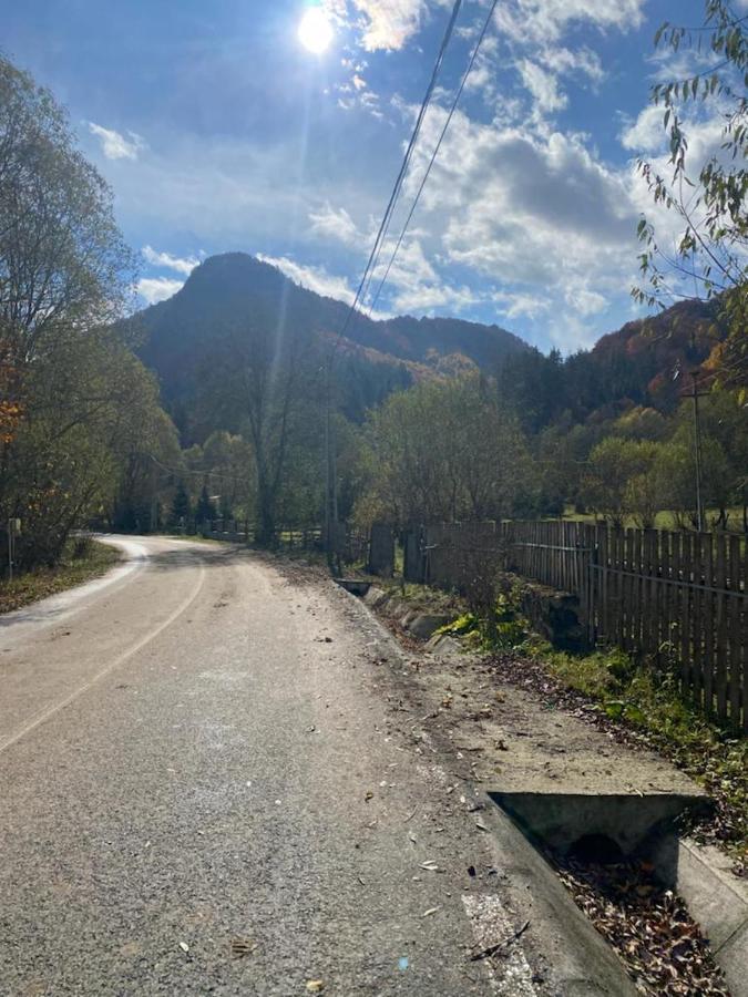 Casa De Vacanta Satic Piatra Craiului La Doi Viermi Luaran gambar