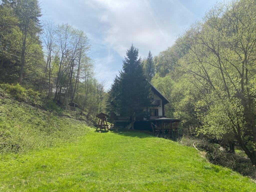 Casa De Vacanta Satic Piatra Craiului La Doi Viermi Luaran gambar