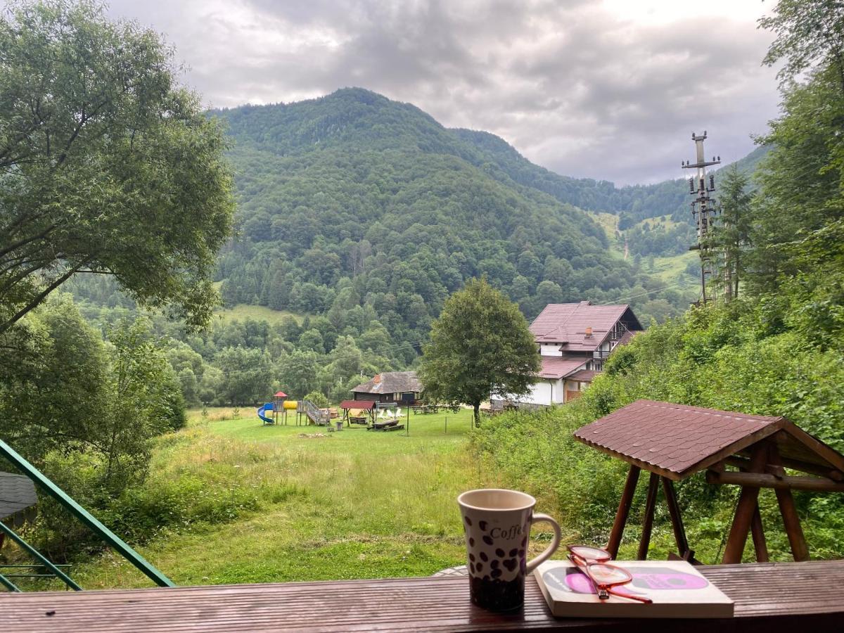 Casa De Vacanta Satic Piatra Craiului La Doi Viermi Luaran gambar