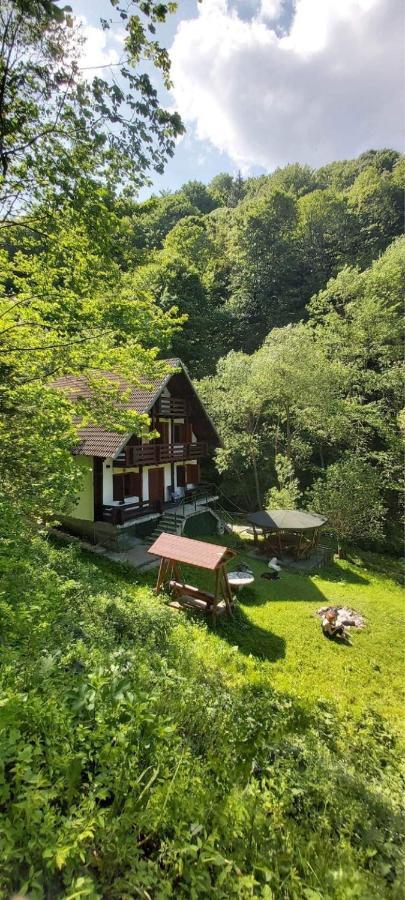 Casa De Vacanta Satic Piatra Craiului La Doi Viermi Luaran gambar