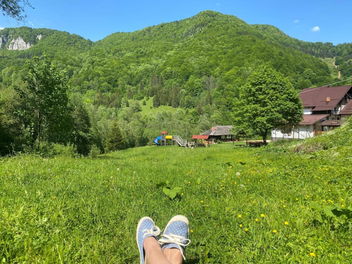 Casa De Vacanta Satic Piatra Craiului La Doi Viermi Luaran gambar