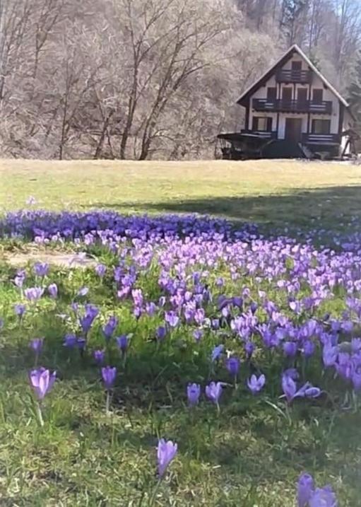 Casa De Vacanta Satic Piatra Craiului La Doi Viermi Luaran gambar